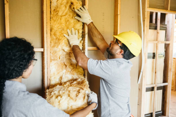 Best Home Insulation Services  in Cornwall On Hudson, NY