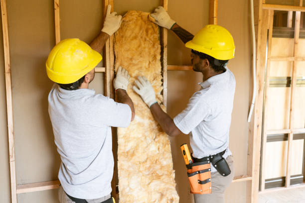 Best Home Insulation Services  in Cornwall On Hudson, NY